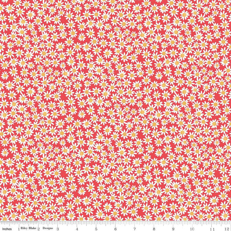 Riley Blake | Raspberry Daisies - 100% Cotton